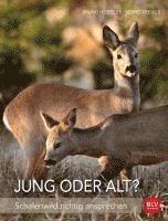 Jung oder alt?