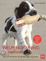 bokomslag Welpen-Training für Jagdhunde