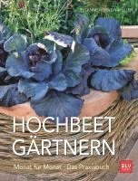 bokomslag Hochbeet-Gärtnern Monat für Monat