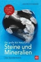 bokomslag Der große BLV Naturführer Steine- und Mineralienführer