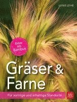 bokomslag Gräser und Farne