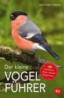 bokomslag Der kleine Vogelführer