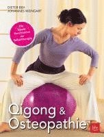 bokomslag Qigong & Osteopathie