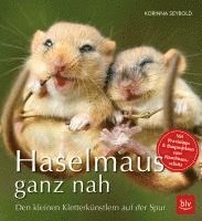 bokomslag Haselmaus ganz nah