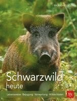 bokomslag Schwarzwild heute