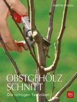 bokomslag Obstgehölzschnitt