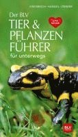 bokomslag Der BLV Tier & Pflanzenführer