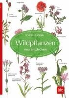 bokomslag Wildpflanzen neu entdecken