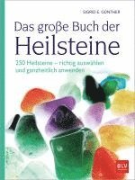 bokomslag Das große Buch der Heilsteine