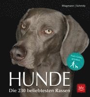 bokomslag Hunde