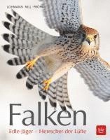 bokomslag Falken