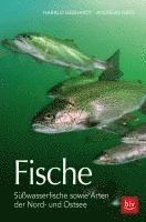 bokomslag Fische