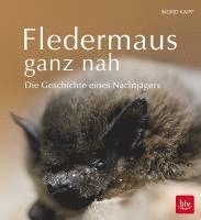 bokomslag Fledermaus ganz nah