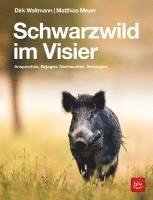 bokomslag Schwarzwild im Visier