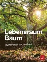 bokomslag Lebensraum Baum