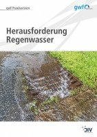 Hella Runge - Herausforderung Regenwasser, Häftad