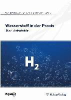 Wasserstoff in der Praxis Band 1