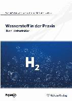 Wasserstoff in der Praxis Band 1 1