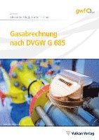 bokomslag Gasabrechnung nach DVGW G 685