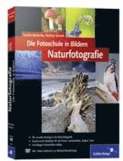 bokomslag Die Fotoschule in Bildern. Naturfotografie