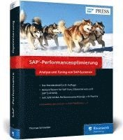 SAP-Performanceoptimierung 1