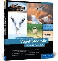 bokomslag Vogelfotografie