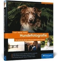 Hundefotografie 1