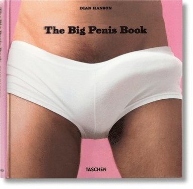 bokomslag Big Penis Book