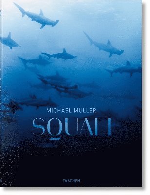 bokomslag Michael Muller. Squali