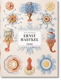 bokomslag The Art and Science of Ernst Haeckel