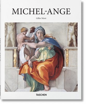 bokomslag Michel-Ange