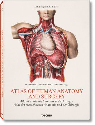 Bourgery. Atlas of Human Anatomy and Surgery 1