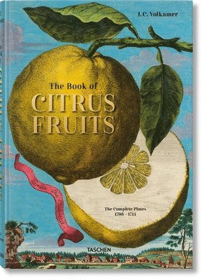 bokomslag J. C. Volkamer. The Book of Citrus Fruits