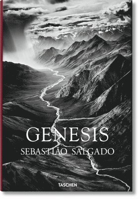bokomslag Sebastião Salgado. Genesis