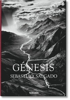bokomslag Sebastião Salgado. Génesis