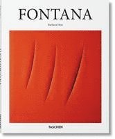 bokomslag Fontana