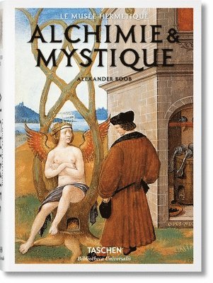 Alexander Roob - Alchimie & Mystique, Inbunden