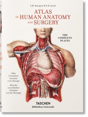 Bourgery. Atlas of Human Anatomy and Surgery 1