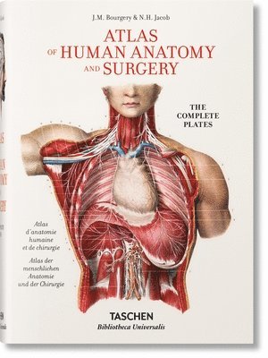 bokomslag Bourgery. Atlas de anatomía humana y cirugía