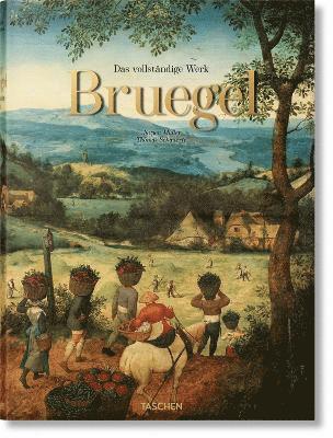 Jürgen Müller, Thomas Schauerte - Bruegel, Inbunden