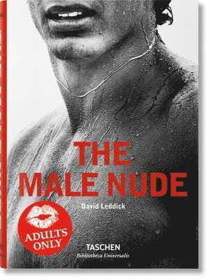 bokomslag Male Nude