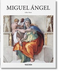 bokomslag Miguel Ángel