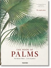 bokomslag Martius. The Book of Palms