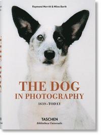 bokomslag Dog in Photography 1839-Today