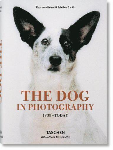 bokomslag Dog in Photography 1839-Today