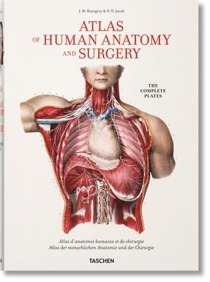 bokomslag Bourgery. Atlas of Human Anatomy and Surgery