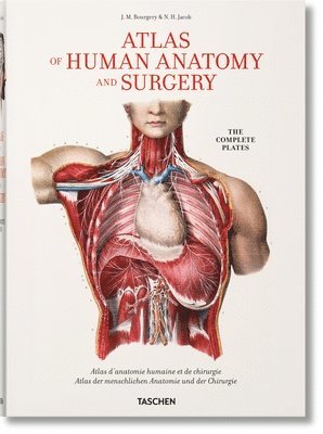 Bourgery. Atlas of Human Anatomy and Surgery 1