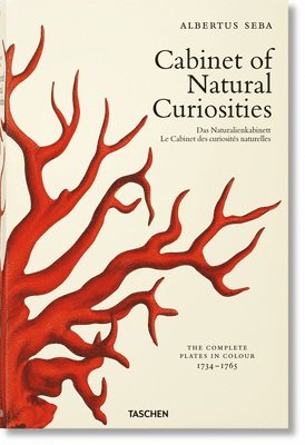 bokomslag Seba. Cabinet of Natural Curiosities