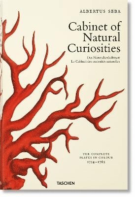 Irmgard Musch, Jes Rust, Rainer Willmann, Irmgard Müsch - Seba. Cabinet of Natural Curiosities, Inbunden