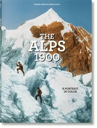 bokomslag The Alps 1900. A Portrait in Color